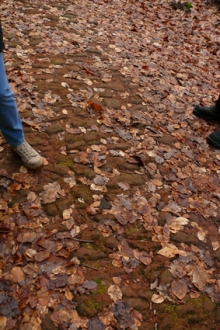 Alte Strasse am Eichelberg bei Mehlingen