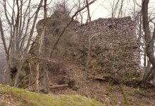 Burg Wildenstein, Schildmauer mit Graben von Westen, 2004 (Aufnahme: Uwe Welz)
