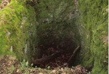 Burg Wildenstein, Zisterne (Brunnen?), Ansicht von Nordwesten, 2004 (Aufnahme: Uwe Welz)