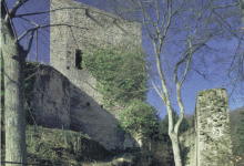 Burgruine Alt-Wolfstein, Reste des Palas, Bergfried und nördliche Mantelmauer, 2001 (Aufnahme: Uwe Welz)