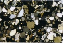 Geotop unter dem Mikroskop: Dünnschliff eines Sandsteins vom Teufelstisch bei Hinterweidenthal. Bildbreite etwa 3 mm