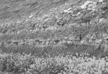 Wechselvolle Schichtenfolgen aus bunten Mergeln und hellen Dolomiten sind typisch für den Unteren Keuper bei Trier.