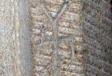 Die Steinmetzzeichen im Kanzelkorb