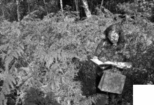 Abb.4: Im Schachenwald kämpft sich die Exkursion durch hohe, dichte Adlerfarn-Bestände.